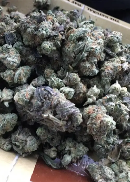 Flaming Cookies