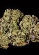 Purple Sauce
