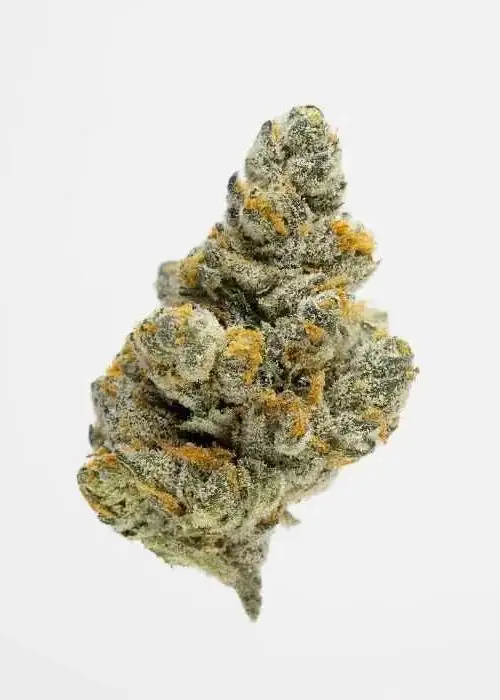 Aspen Dreamz