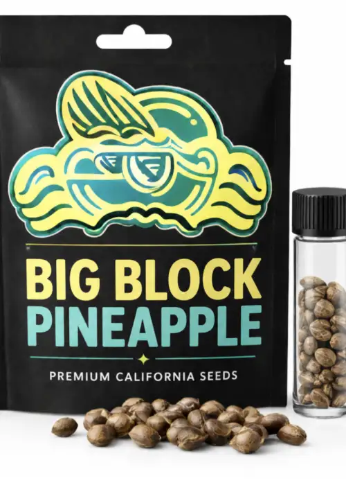 Big Block Pineapple