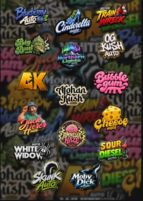 Originals Mix Auto
