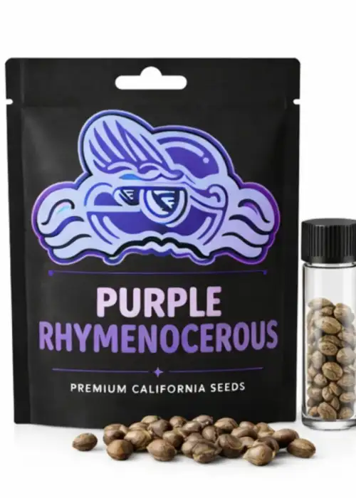 Purple Rhymenocerous