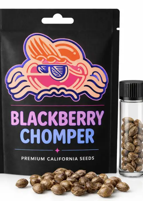 Blackberry Chomper