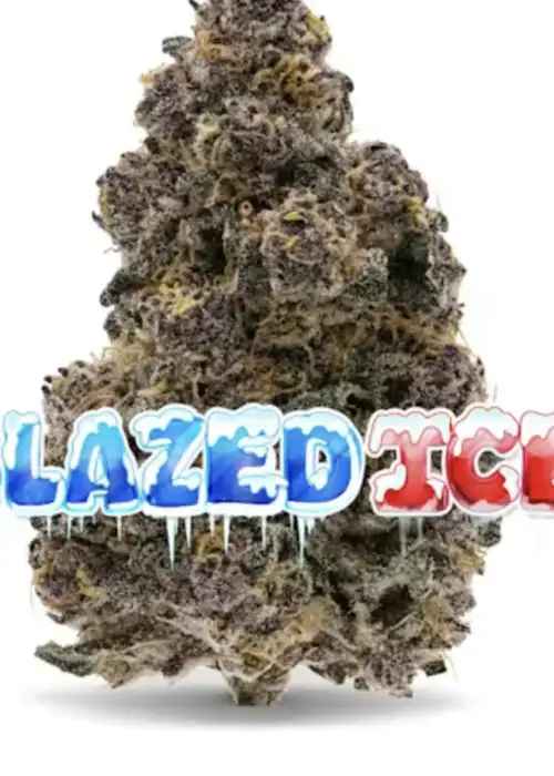 Glazed Ice