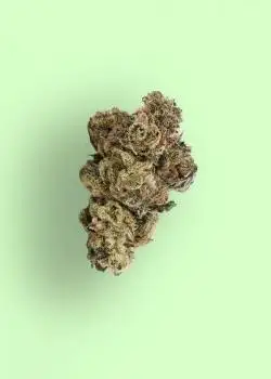 Planet Dosi