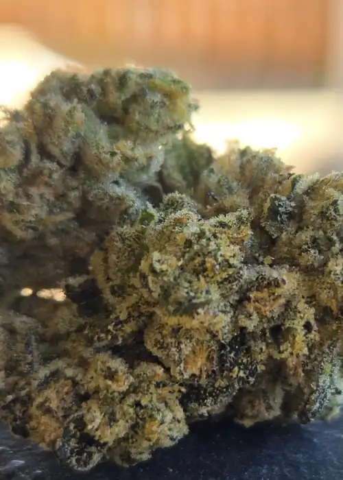 First Class Gas