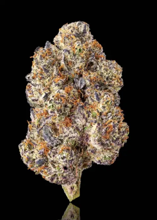 Parisian Kush