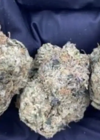 Lemon Cherry Zkittlez