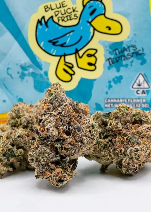 Blue Duck Fries