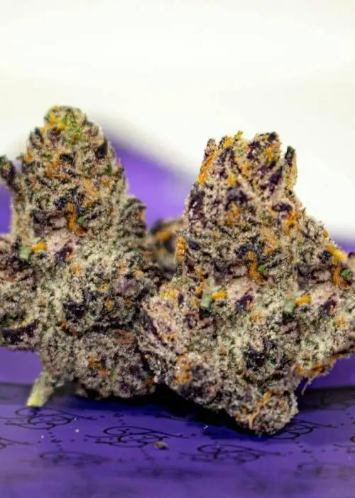 Blueberry Cherries