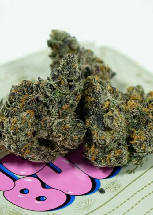 Triple Thin Mint