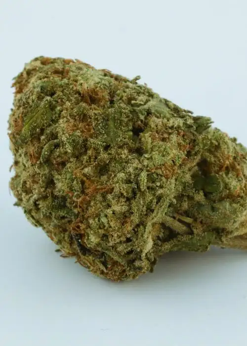 Sour Lemonade