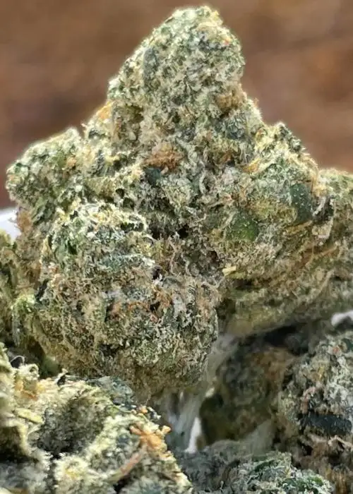 Kut Throat Kandy