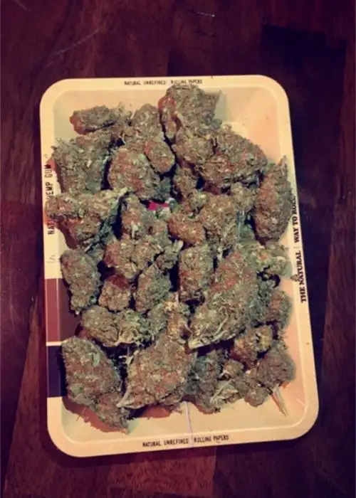 Haze Heaven