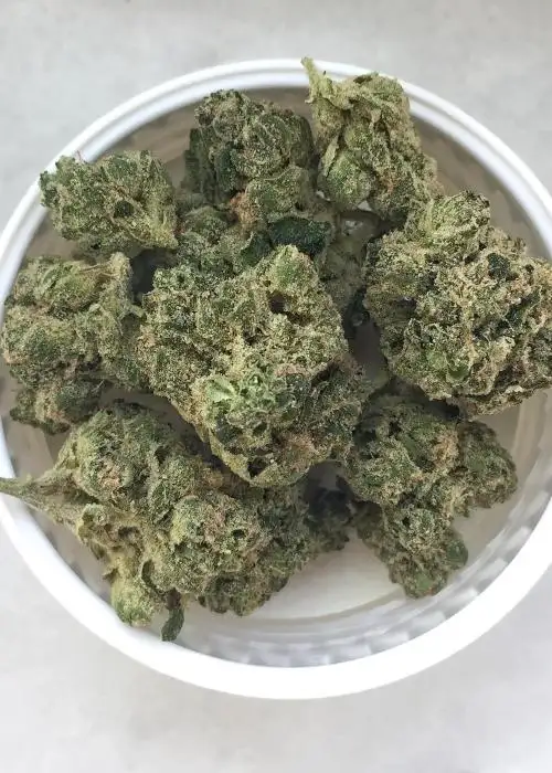 Rebel Sour
