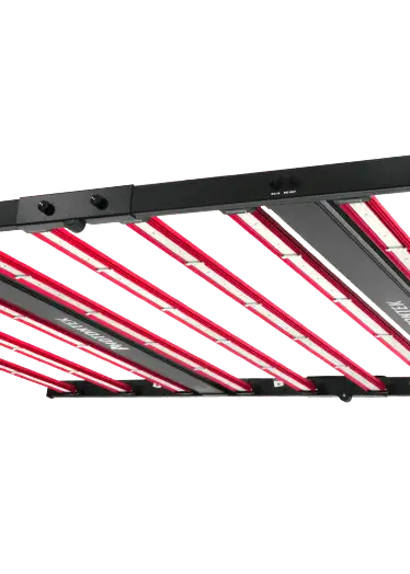 X 1000W Pro LED