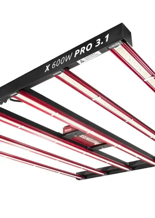 X 600W PRO 3.1 LED