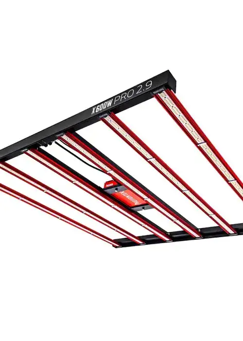 X 600W PRO 2.9 LED