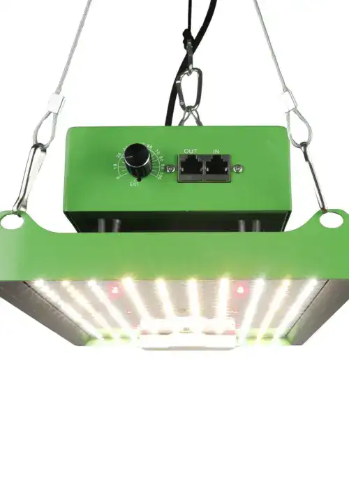 Home LED