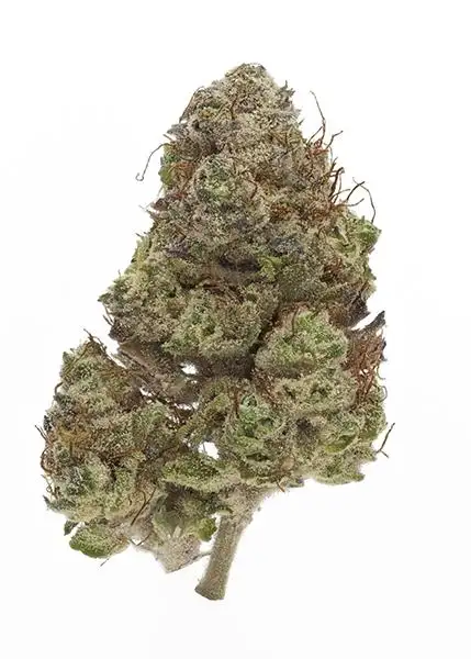 Pheno 51