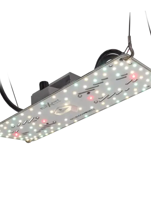 FLUXshield Habibi 150