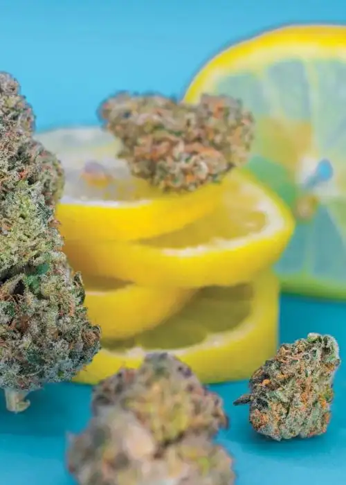 Lemons & Rubber