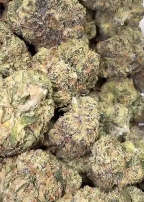 Mellow Berry
