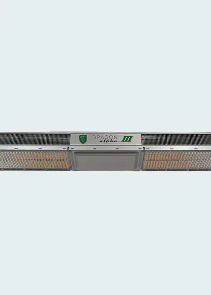 Dragon Alpha III