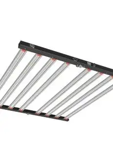 ORTOLED S Line HL 1000W