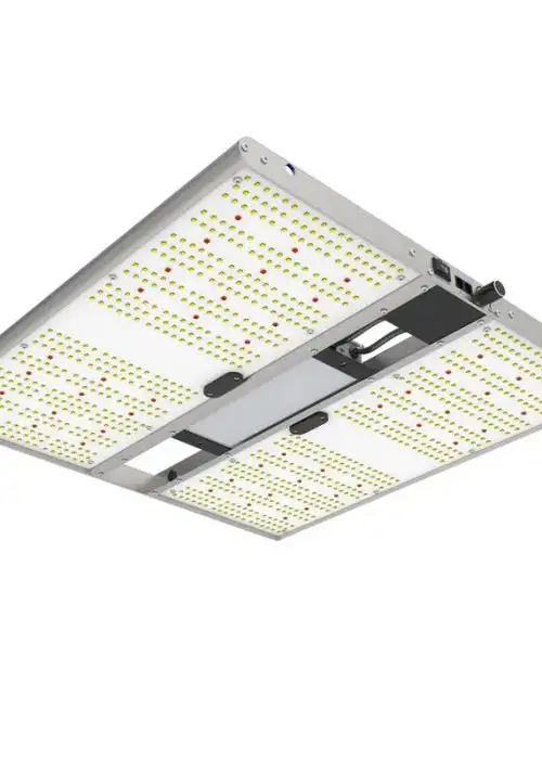 Quantum Board EVO 240W