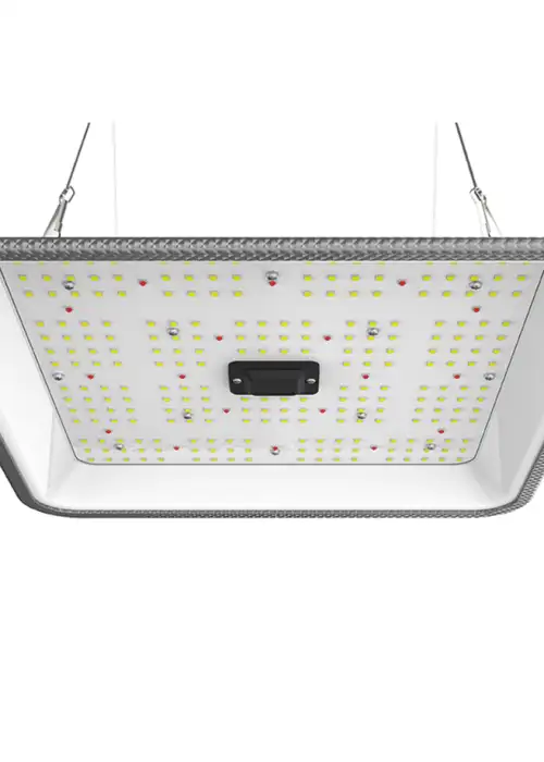Quantum Full Cycle 60W (2.7 µmol/J)