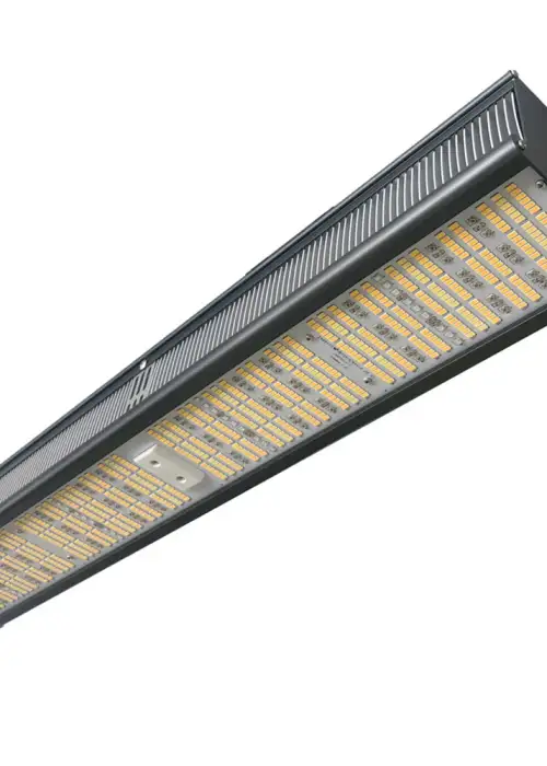 Ortoled GH Samsung LED Line | 310W