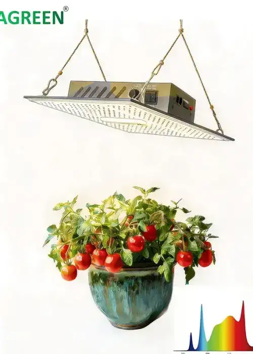 BavaGreen 130W Dimmable LED Grow Lamp (Timer, UV/IR)