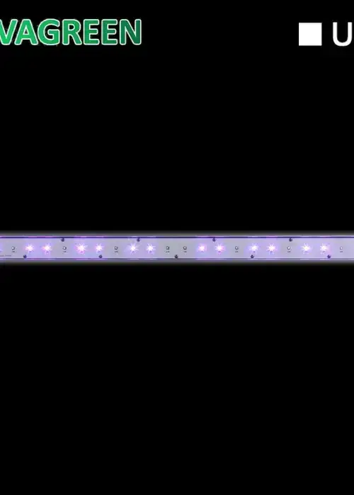 30W UVA/UVB Bloom Booster LED Grow Light (310/385 nm)