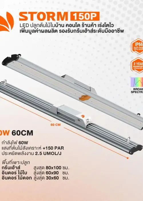 Storm 150PE 60W, 250PE 100W