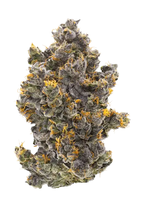 Funk Dip