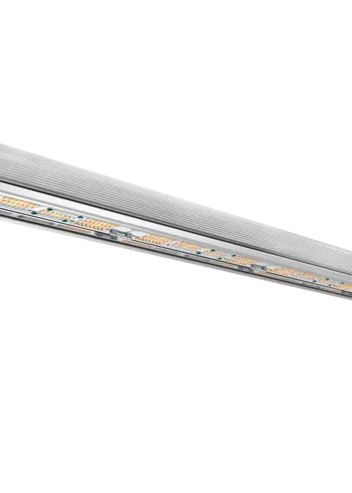 BX120-2ch (LightDNA 2-Channel)