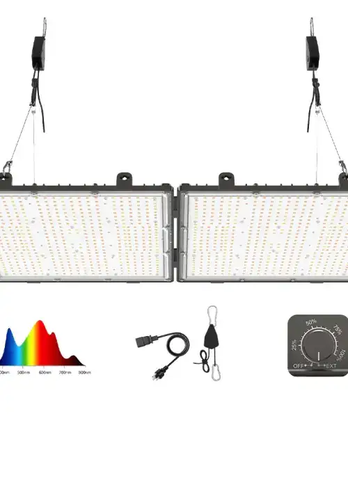 O+ Series 300W