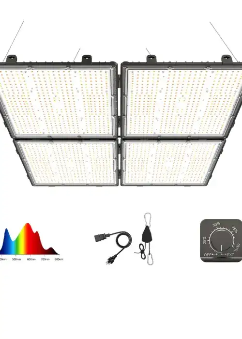 O+ Series 600W