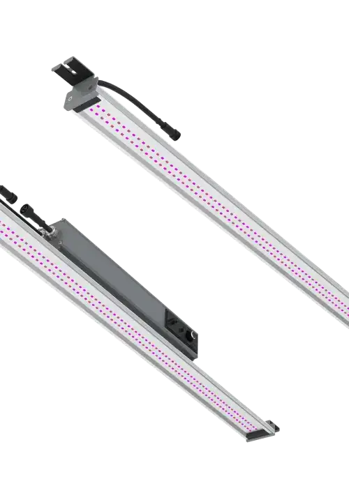 SAP 100W | UVA (360-420NM) Supplemental Growlight