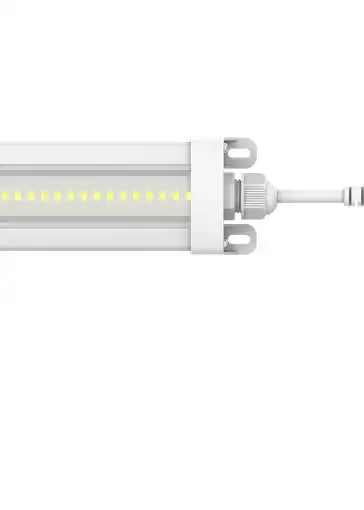 NEMA GO 50W x2