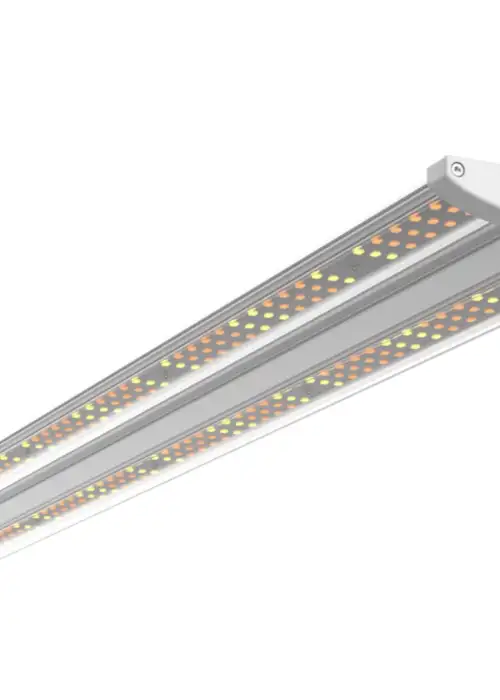 Futur Vert Floraleaf 40W