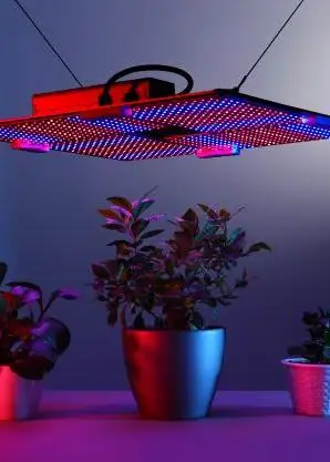 No Noise 850w – waterproof