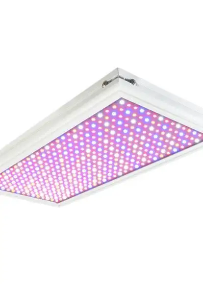 AgroMax OTD LED
