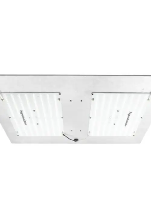 AgroMax RAW 270 4000K LED