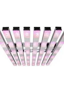 Infinity COB LED 8