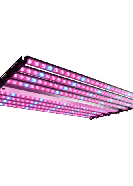 THE OCTA720 LED-720W