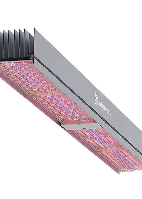 MITRA X C3 Multi-Channel