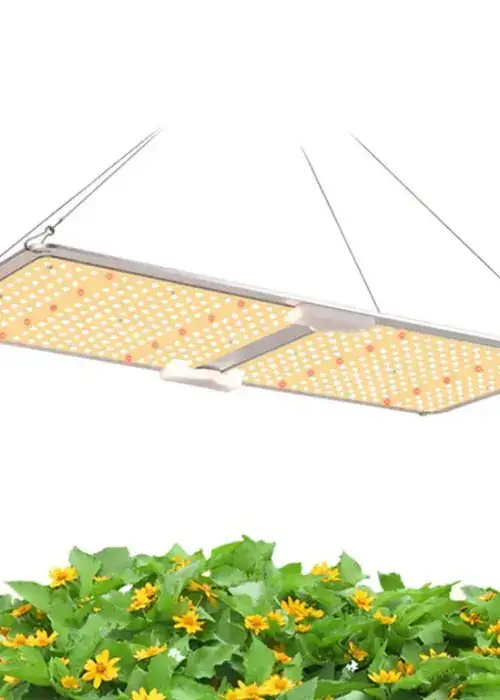 SunFlux Quantum Board 200W