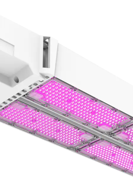 DLI VERTEX-Series